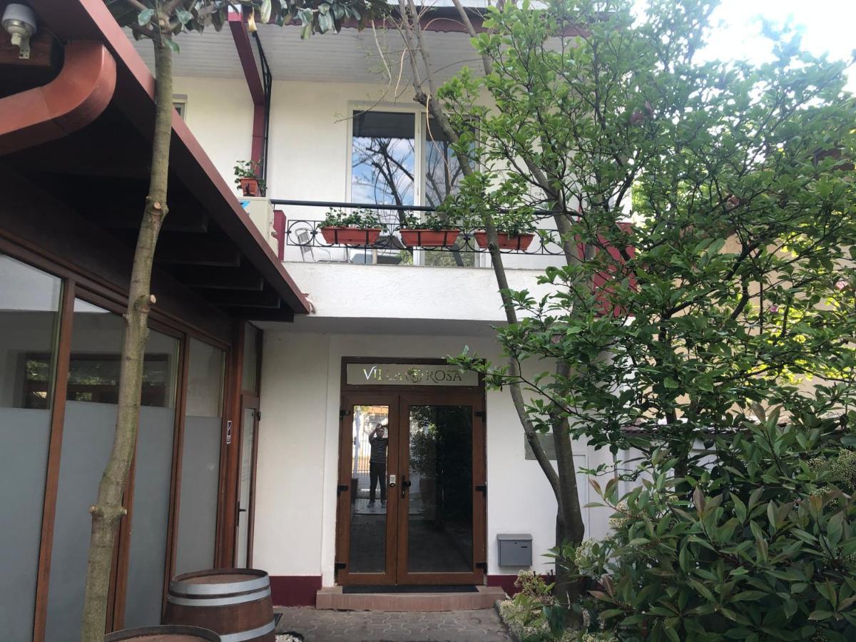 Villa Rosa Timisoara Bagian luar foto